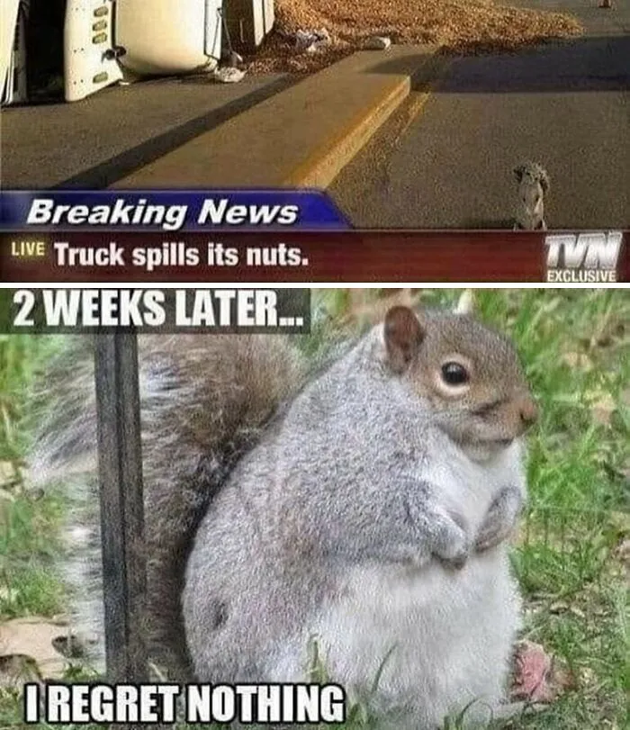50 Funny Memes That Show Why Country Living Isn’t As Peaceful As You Think