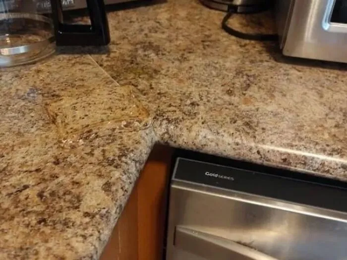 Now Where Did I Put My Sandwich?