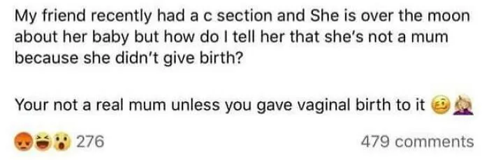 "Your'e Not A Real Mum Unless You Gave Vaginal Birth To It"