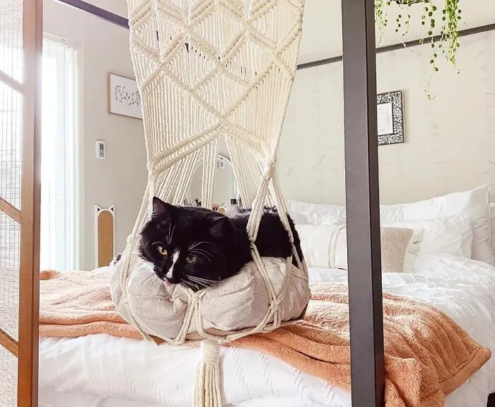 Pamper Your Feline Friend With A Bohemian Touch: The <a Style="Display:inline;" Href="Https://Www.amazon.com/Star-K-Macrame-Hammock-Hanging-2-Macrame/Dp/B07zq77c1n?ie=utf8&th=1&linkcode=ll1&tag=bpbutterfly-20&linkid=eb1e4cce642b219b420d3f9ff1e5a90b&language=en_us&ref_=as_li_ss_tl" Target="_blank"><span Style="Font: Inherit; Color: #d74b1f;"> Macrame Cat Hammock </Span> Is A Cozy And Stylish Retreat That Lets Your Cat Lounge In Comfort And Adds A Touch Of Handmade Charm To Your Home