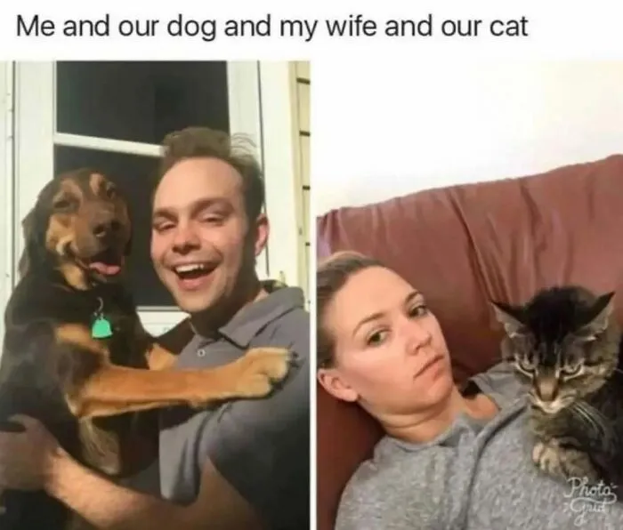Funny-Cute-Dog-Memes-Mydogsplanet