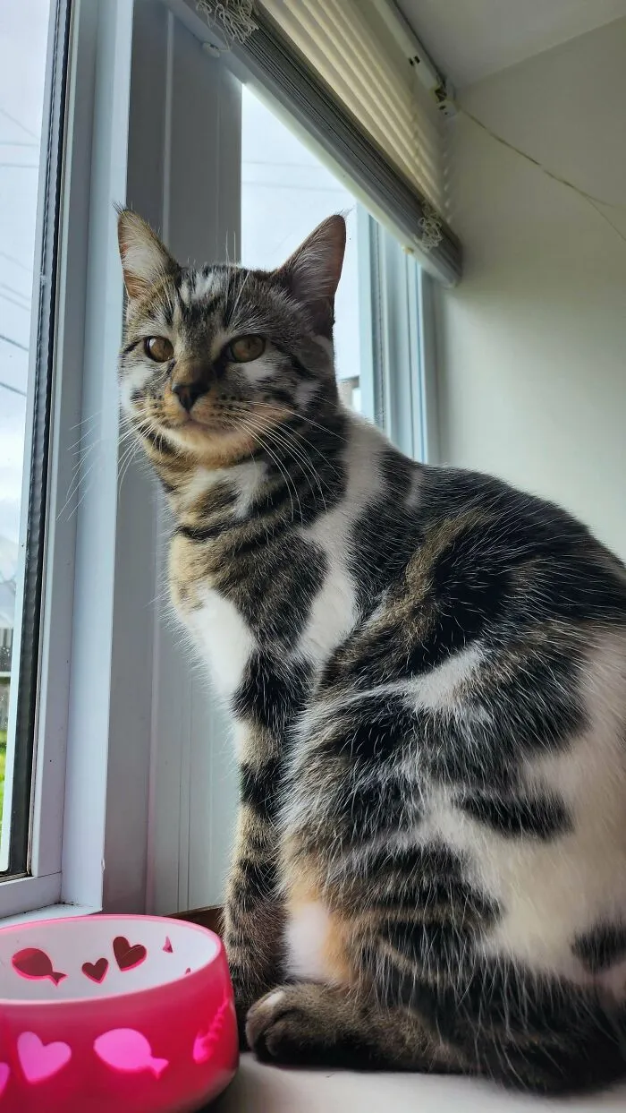 Judging My Life Choices. She Has De Novo Mutation! She Was Born This Way