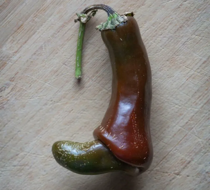Este pimiento parece una bota