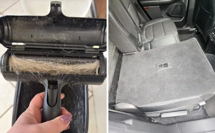 Meet The Ultimate Pet Hair Solution: The <a Style="Display:inline;" Href="Https://Www.amazon.com/Pet-Dog-Cat-Hair-Remover-Couch/Dp/B00bagtnaq?ie=utf8&th=1&linkcode=ll1&tag=bpwoodpecker-20&linkid=648e6dcb640604b91db1aedb6eb5fda7&language=en_us&ref_=as_li_ss_tl" Target="_blank"><span Style="Font: Inherit; Color: #d74b1f;"> Chom Chom Roller </Span>. This Clever Tool Makes Quick Work Of Furry Messes, Leaving Your Clothes And Furniture Hair-Free And Your Sanity Intact