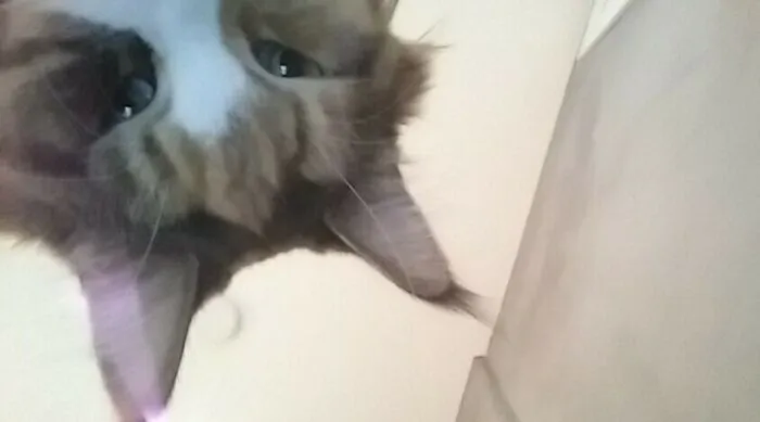 My Phone Takes A Picture When Someone Enters The Wrong Knock Code. Woke Up To This