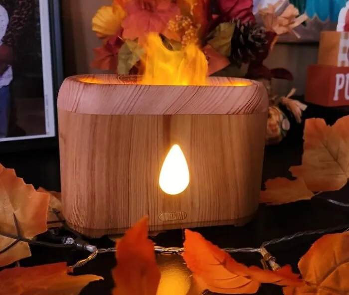 Get Ready To Level Up Your Cozy Game With The <a Style="Display:inline;" Href="Https://Www.amazon.com/Essential-Ultrasonic-Aromatherapy-Protection-Humidifier/Dp/B0cx94j23m?ie=utf8&th=1&linkcode=ll1&tag=bpcoyote-20&linkid=0d189e5028ae12eb974d339f80c9f7ed&language=en_us&ref_=as_li_ss_tl" Target="_blank"><span Style="Font: Inherit; Color: #d74b1f;"> Flame Diffuser </Span>. Because Who Needs Actual Human Interaction When You Can Just Stare At A Fake Flame All Day