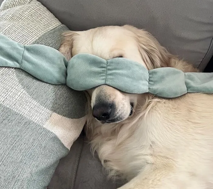 Sleep Peacefully With The <a Style="Display:inline;" Href="Https://Www.amazon.com/Pressure-Patented-Blocking-Sleeping-Relaxation/Dp/B0b1rwj4qj?ie=utf8&linkcode=ll1&tag=bpcoyote-20&linkid=84660f214400ffa45dfed3396ab57c75&language=en_us&ref_=as_li_ss_tl" Target="_blank"><span Style="Font: Inherit; Color: #d74b1f;"> Gentle Pressure Sleep Mask </Span>. It Provides A Soft, Calming Pressure To Help You Relax And Block Out Any Light, Ensuring A Restful Night's Sleep