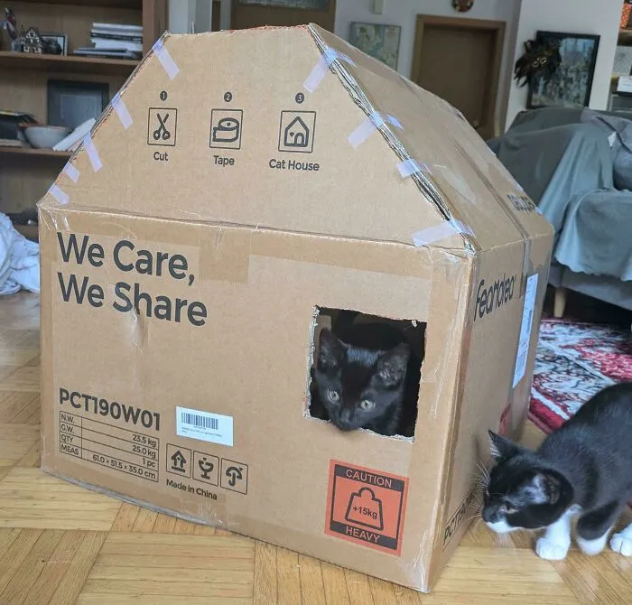 Cat Tree Came In A Box With Instructions To Make A Cat House