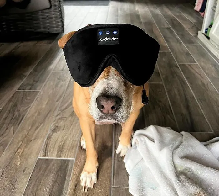 Catch Some Quality Z's And Tunes With The <a Style="Display:inline;" Href="Https://Www.amazon.com/Dp/B09m75rg8l?pd_rd_i=b09m75rg8l&pd_rd_w=bi7db&content-ID=amzn1.sym.10c716f0-B18a-473a-9d6a-5d87bc47ef1e&pf_rd_p=10c716f0-B18a-473a-9d6a-5d87bc47ef1e&pf_rd_r=vy2ggvc11nybyeb5dmx9&pd_rd_wg=jrjgs&pd_rd_r=14dc588d-5cbd-463c-BF4c-8794288d8ba4&s=hpc&sp_csd=d2lkz2v0tmftzt1zcf9kzxrhawxfdghlbwf0awm&th=1&linkcode=ll1&tag=bpgecko-20&linkid=ab29fcd7010df66e3871dc395ab8d577&language=en_us&ref_=as_li_ss_tl" Target="_blank"><span Style="Font: Inherit; Color: #d74b1f;"> Sleepmask With Built-In Bluetooth Headphones </Span> - Side Sleepers Rejoice, You Can Finally Listen To Podcasts Without Earbuds Digging Into Your Ear