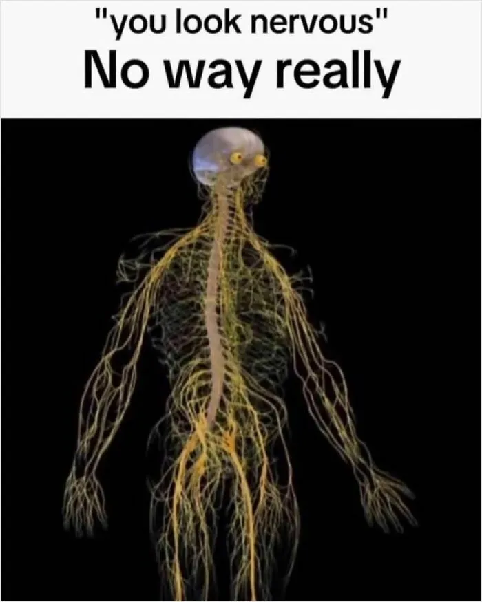 35 Out-Of-Pocket Random And Silly Memes That May Be Just What The Doctor Ordered For You