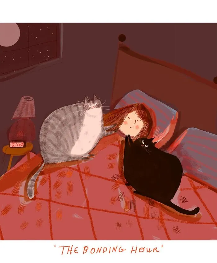 30 Whimsical Illustrations That Focus On Cats And Everyday Life, By Jamie Shelman