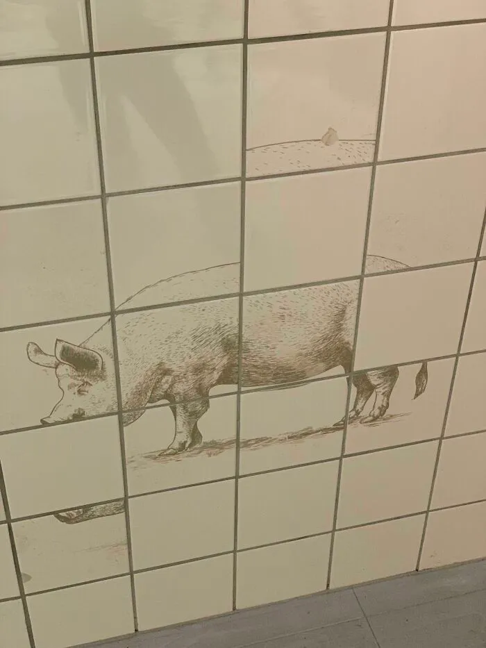 He puesto los azulejos, jefe