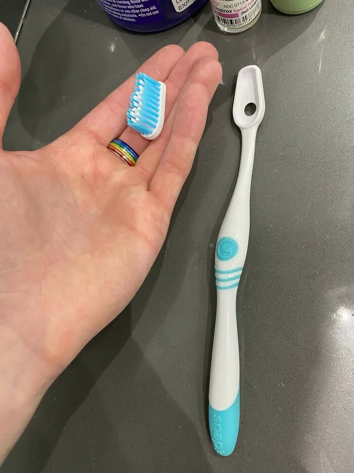 Toothbrush With Replaceable Bristles So You Don’t Have To Keep Buying A New Handle