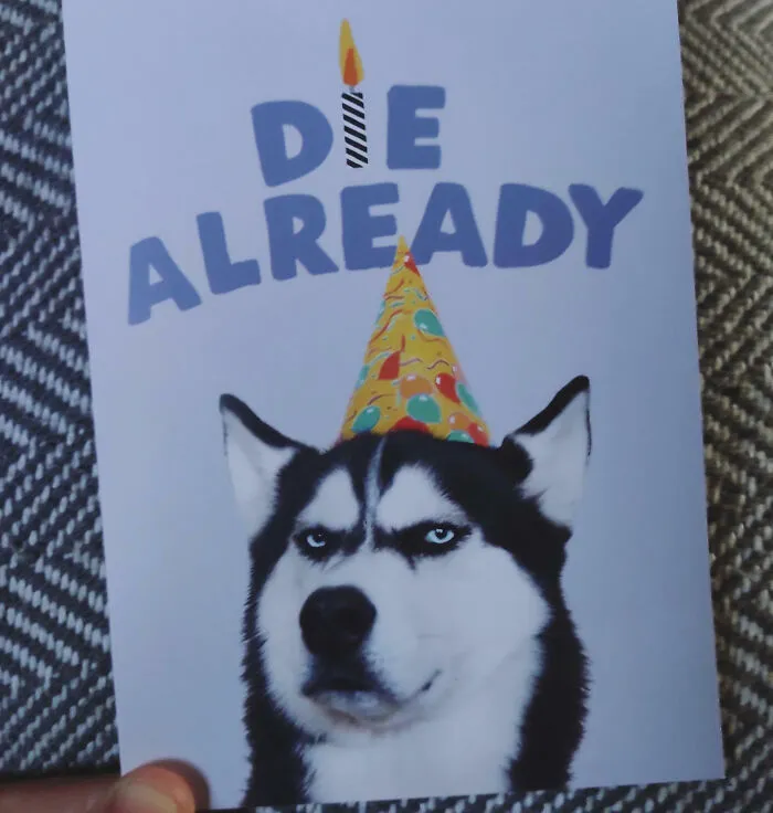 My 4 Year Old Niece Can't Read And Bought Me This Birthday Card Because It Featured "A Cute Dog With A Party Hat"