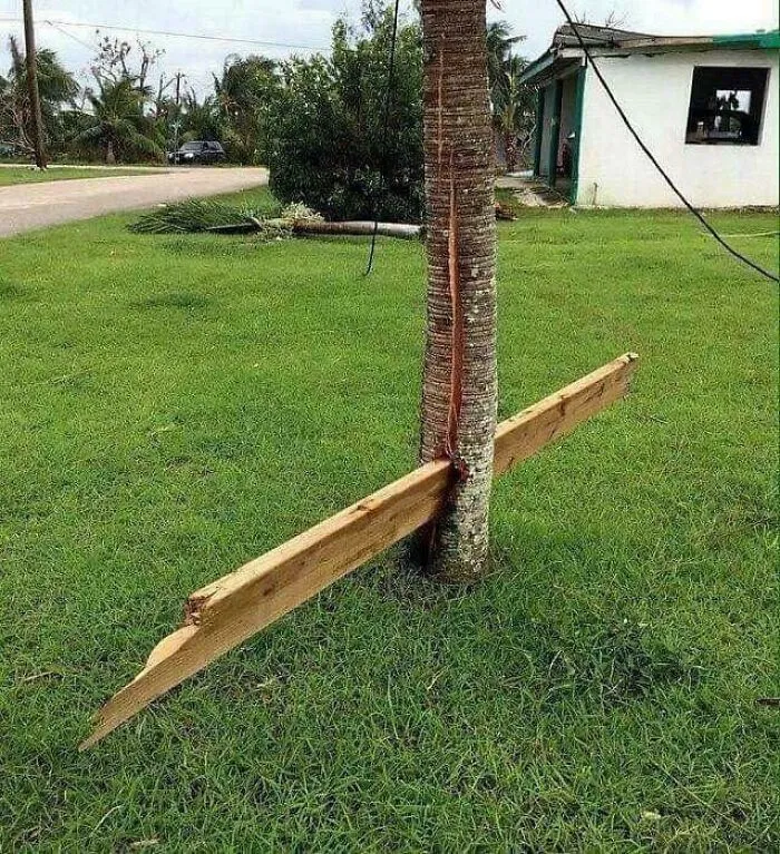 The Power Of Hurricane Force Winds