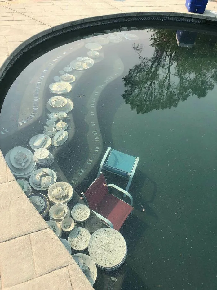 My Mom Has 5 Sets Of China (Don't Ask) And Put Them In Her Pool Prior To Being Evacuated From Fires In Northern California. The Dishware Survived!