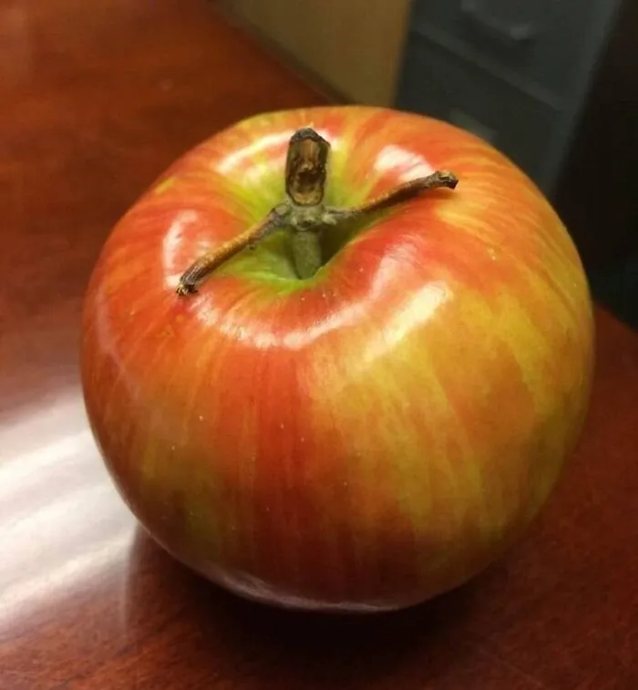 I Am Froot