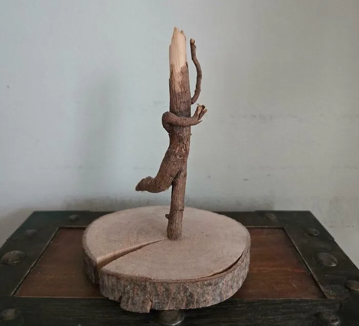 I Had To Move A Lilac Bush In My Yard A Few Years Ago, And I Spotted This Root That Looked Like A Little Dancer. I Liked Her So Much I Kept Her :)