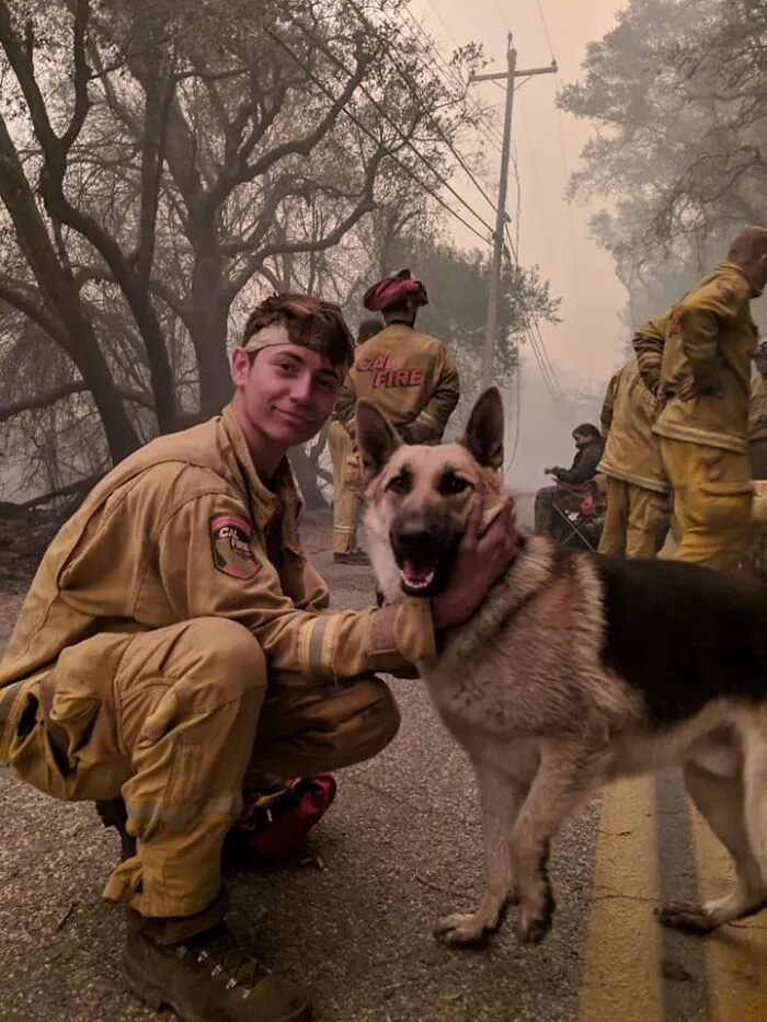 Cal-Fire Firefighter From The Paradise, Ca Wildfire Finds Missing Dog, Helps Reunite With Family