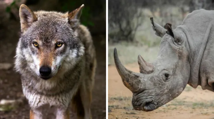 Both Seem Quite Scary. This Is A Difficult Decision For Sure
