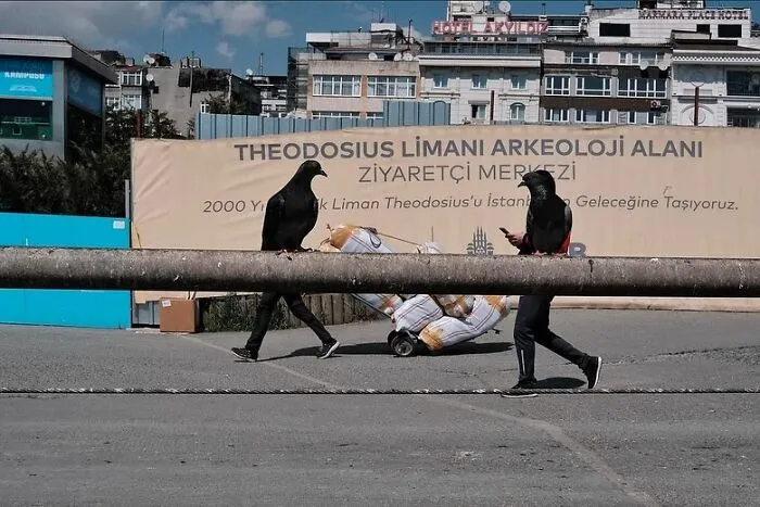 30 Lucky Coincidences Captured In The Streets By This Photographer