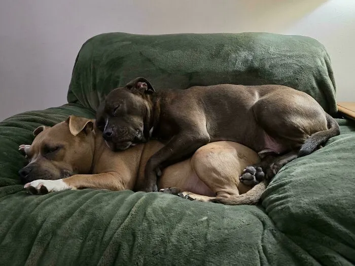 No Room? No Problem