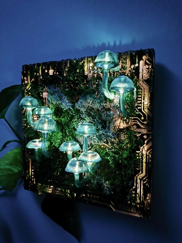 I Made A Night Light