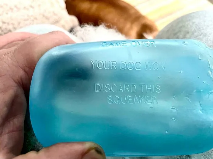 Found On The Inside Of A Dog Toy