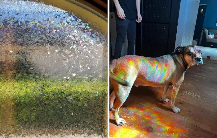 Color Your World With This Vibrant <a Style="Display:inline;" Href="Https://Www.amazon.com/Niviy-Decorative-Adhesive-Removable-Covering/Dp/B08pk345ss?ie=utf8&th=1&linkcode=ll1&tag=bpfig-20&linkid=1b3f0a76a1c16ff31e94a427ce6bedbb&language=en_us&ref_=as_li_ss_tl" Target="_blank"><span Style="Font: Inherit; Color: #d74b1f;"> Rainbow Window Film </Span> - It's Like Having A Permanent Rainbow In Your Window, Plus It Keeps Curious Eyes Out Of Your Private Spaces