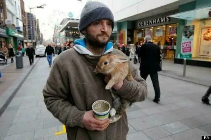 This Online Group Shares Positive Pics, And Here Are 50 To Make You Smile (New Pics)