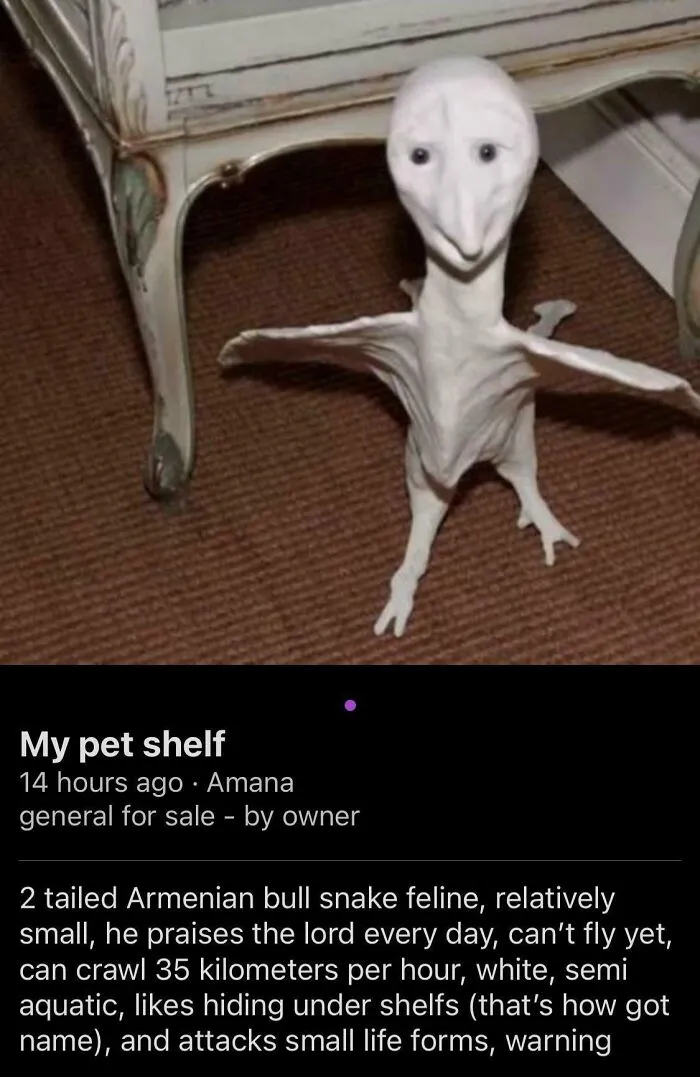 This Thing For Sale On Craigslist. The Description Makes It Even More Confusing