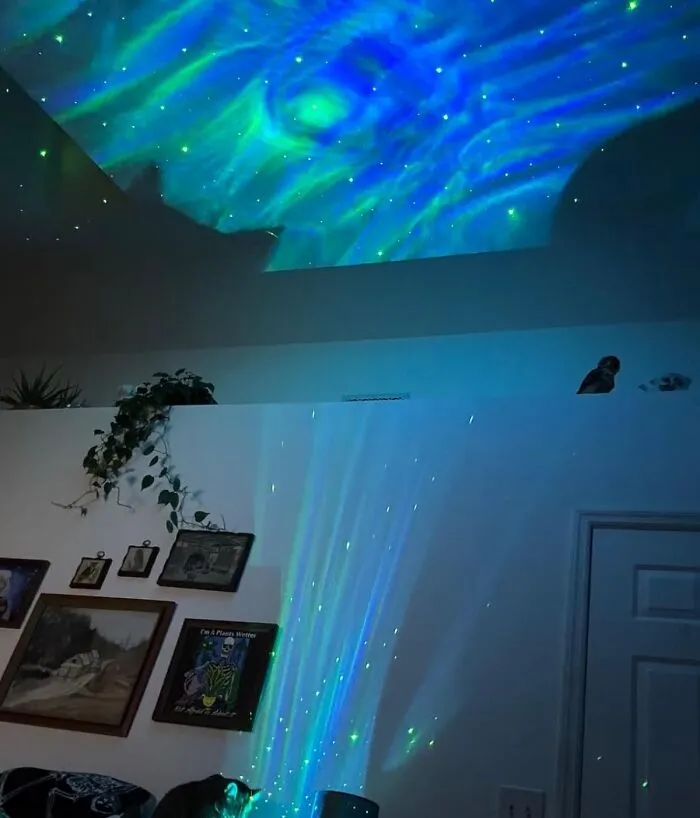 Transform Your Room Into A Cosmic Wonderland With The <a Style="Display:inline;" Href="Https://Www.amazon.com/Herhoter-Projector-Decoration-Valentines-Christmas/Dp/B0cqsjrpxf?ie=utf8&linkcode=ll1&tag=bpfig-20&linkid=58e08defacc838c39ab357f68b532a1c&language=en_us&ref_=as_li_ss_tl" Target="_blank"><span Style="Font: Inherit; Color: #d74b1f;"> Galaxy Projector </Span> - It's Like Having Your Own Personal Galaxy, Minus The Whole "Leaving Earth" Thing