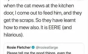 Lab Coat Laughs: 50 Science Memes To Leave You Crying In Your Beakers