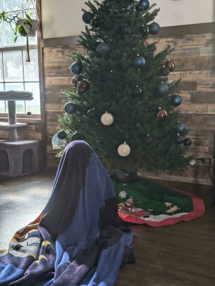 Así es como mi nieta de 2 años se sienta a quitar adornos del árbol, pensando que nadie puede verla