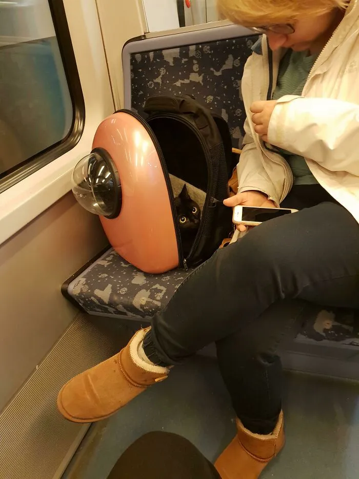 My Heart Just Melted When I Saw That In The Subway