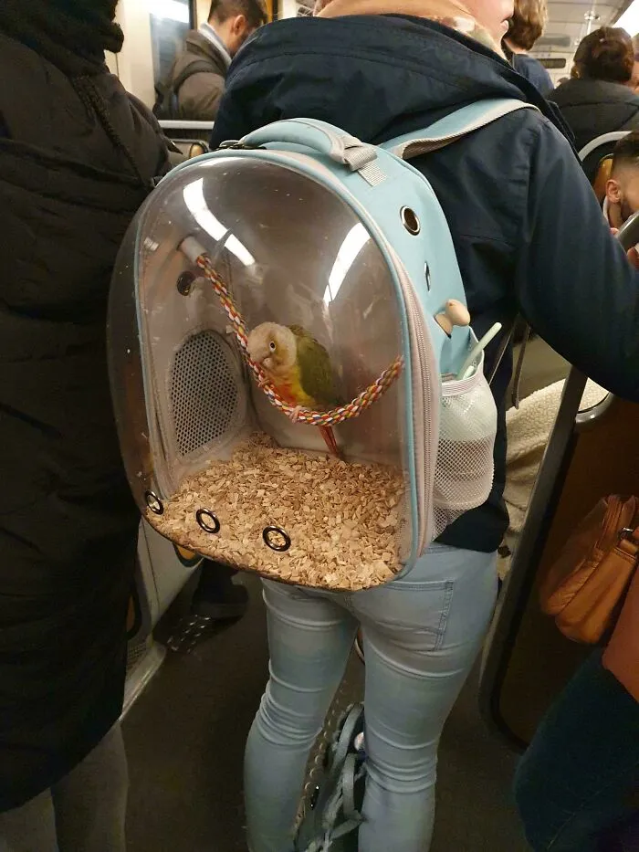 It Feels Like I Am Being Watched... (Brussels Subway)