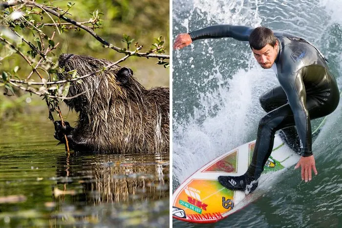 Wetsuits