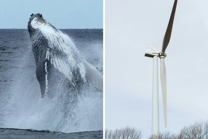 Wind Blades