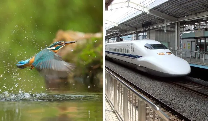 Bullet Trains
