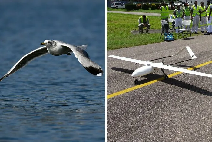 Drones