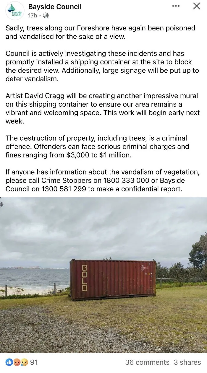 Trees Poisoned In Bayside Council (Nsw) For The View - Council Responds With Old Shipping Container And Signage