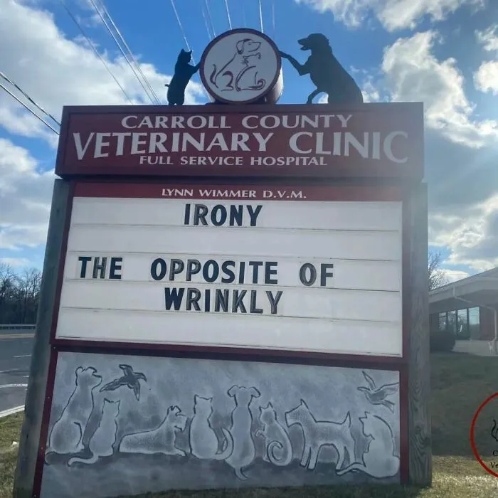 No Fleas, Just Jokes: 40 Signs That Had Tails Wagging (New Pics)