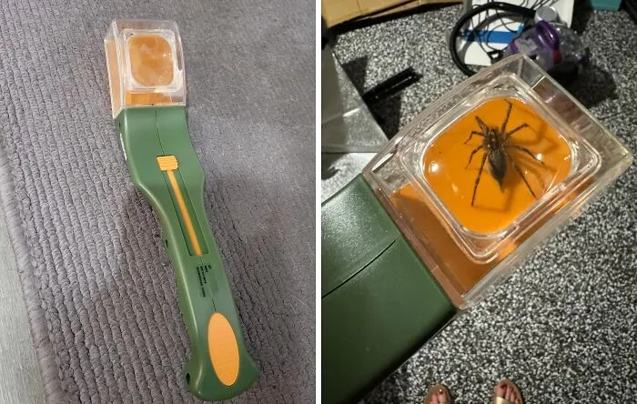  Now You Can Catch And Inspect The Creepy Crawlies In Your House With This <a Style="Display:inline;" Href=" Https://Www.amazon.com/Carson-Quick-Release-Catching-Magnifier-Children/Dp/B000jq5azk?ie=utf8&linkcode=ll1&tag=bpbison-20&linkid=23c17538e62a51b0ba61c663fa8ec65f&language=en_us&ref_=as_li_ss_tl" Target="_blank"><span Style="Font:inherit;color:#d74b1f;"> Bug Catcher And Magnifier </Span> 