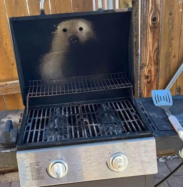 Just A Friendly Little BBQ Bear