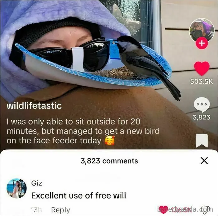 Excellent Use Of Free Will