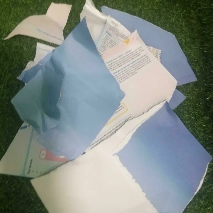 Some Kid Decided To Tear Up My Ielts Result Paper