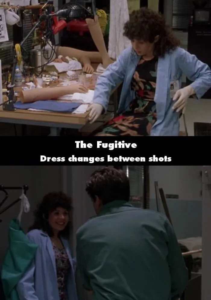 The Fugitive