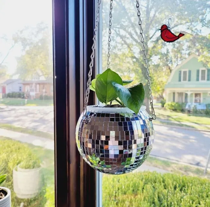 A <a Style="Display:inline;" Href="Https://Www.amazon.com/Scandinordica-Disco-Ball-Planter-Hanging/Dp/B08y1yvl7r?ie=utf8&th=1&linkcode=ll1&tag=bpfrog-20&linkid=04b72a82d75de1e7f48265253179c65b&language=en_us&ref_=as_li_ss_tl" Target="_blank">  <span Style="Font: Inherit; Color: #d74b1f;"> Disco Ball Planter </Span> Will Turn Your Sunniest Window Into A 24/7 Dance Party For You And Your Plant Baby