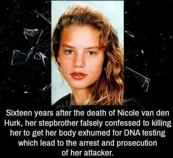 Pretty Wild