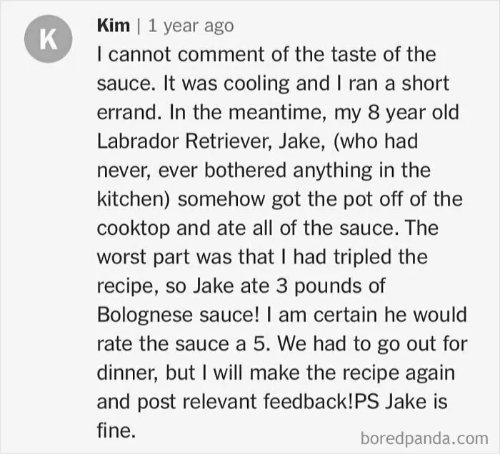 30 Salty Comments From People Who Didn’t Follow A Recipe And Lacked Common Sense